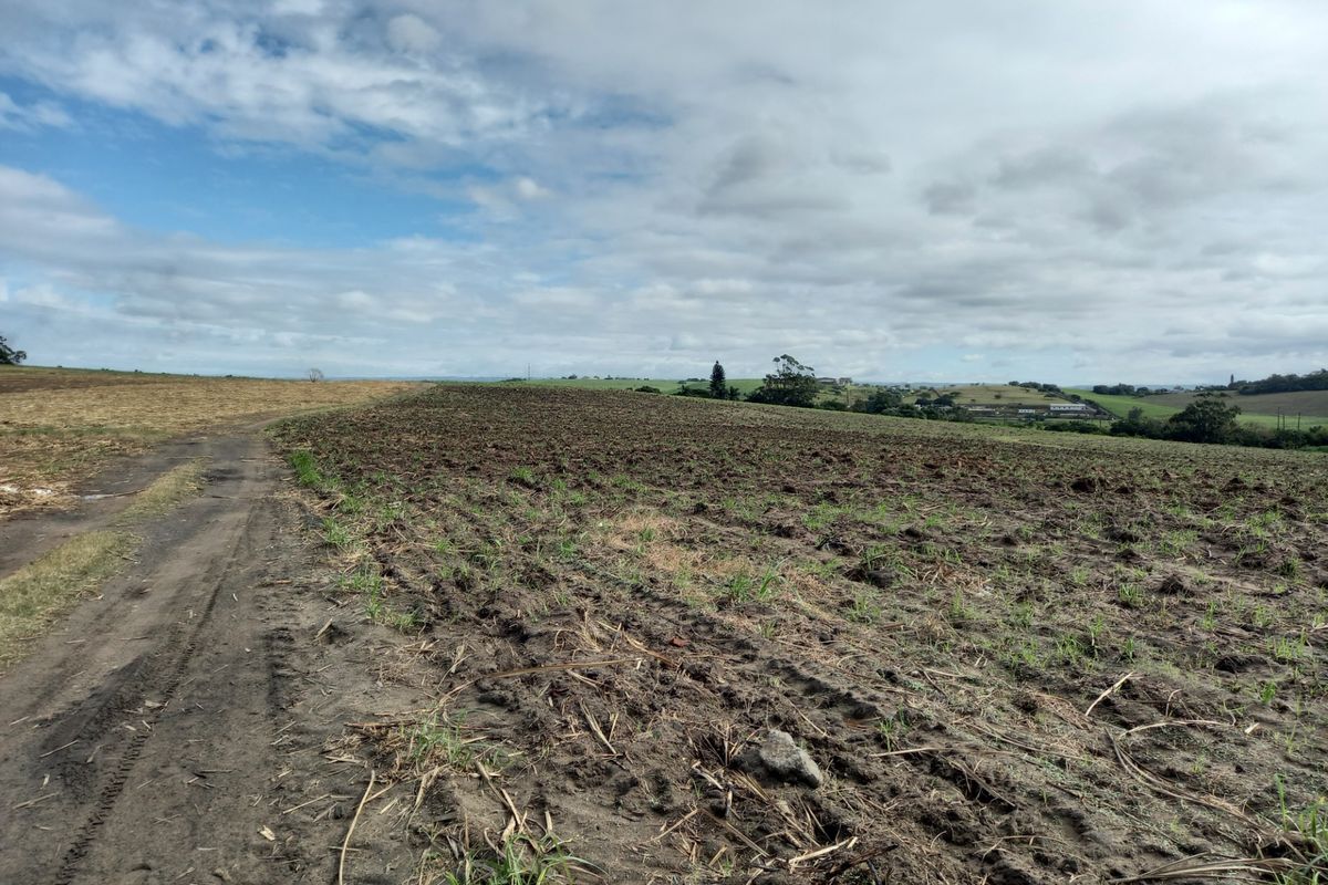 Farm For Sale in Fraser - Photo 5