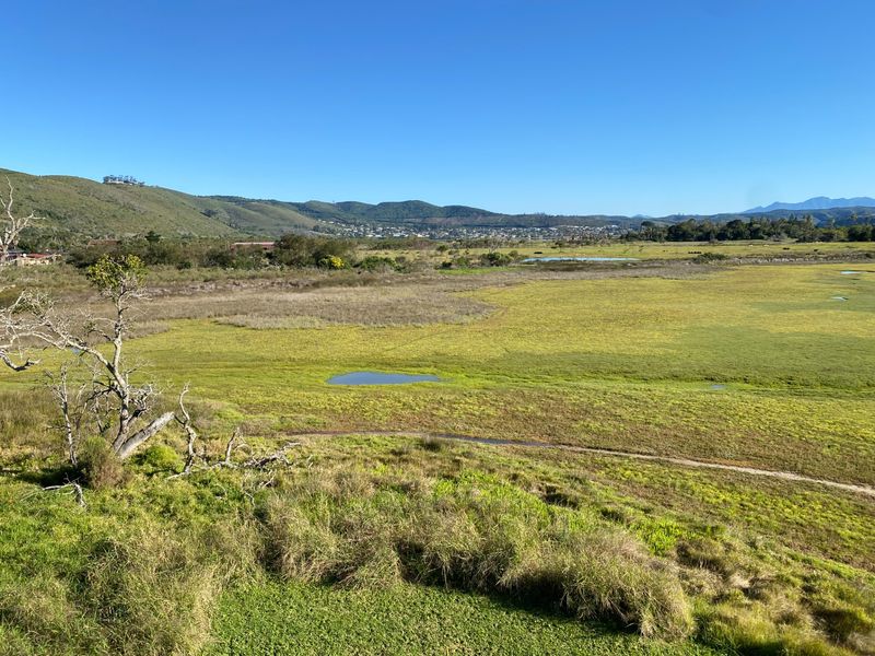 Vacant Land Residential For Sale in Brenton On Lake - Photo 10