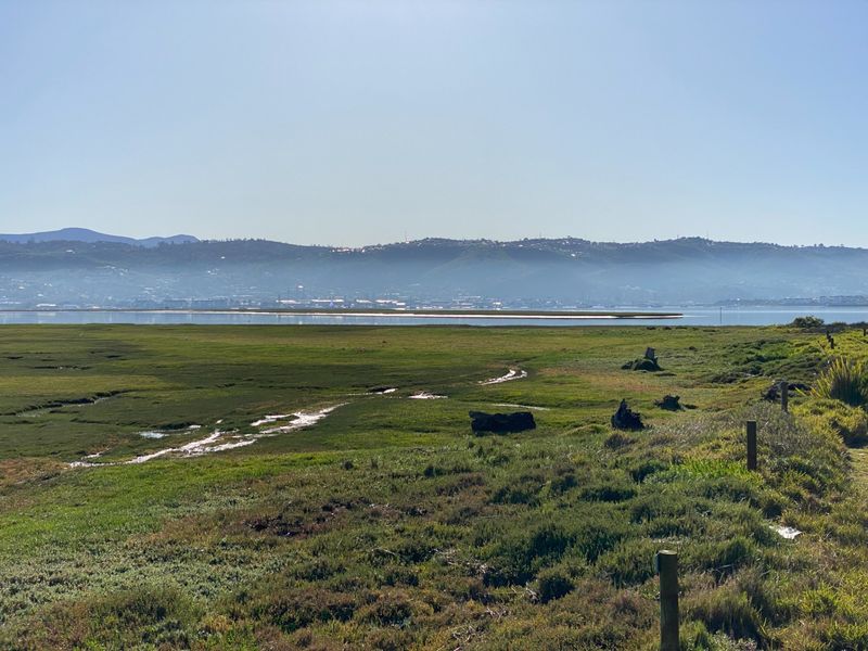 Vacant Land Residential For Sale in Brenton On Lake - Photo 4