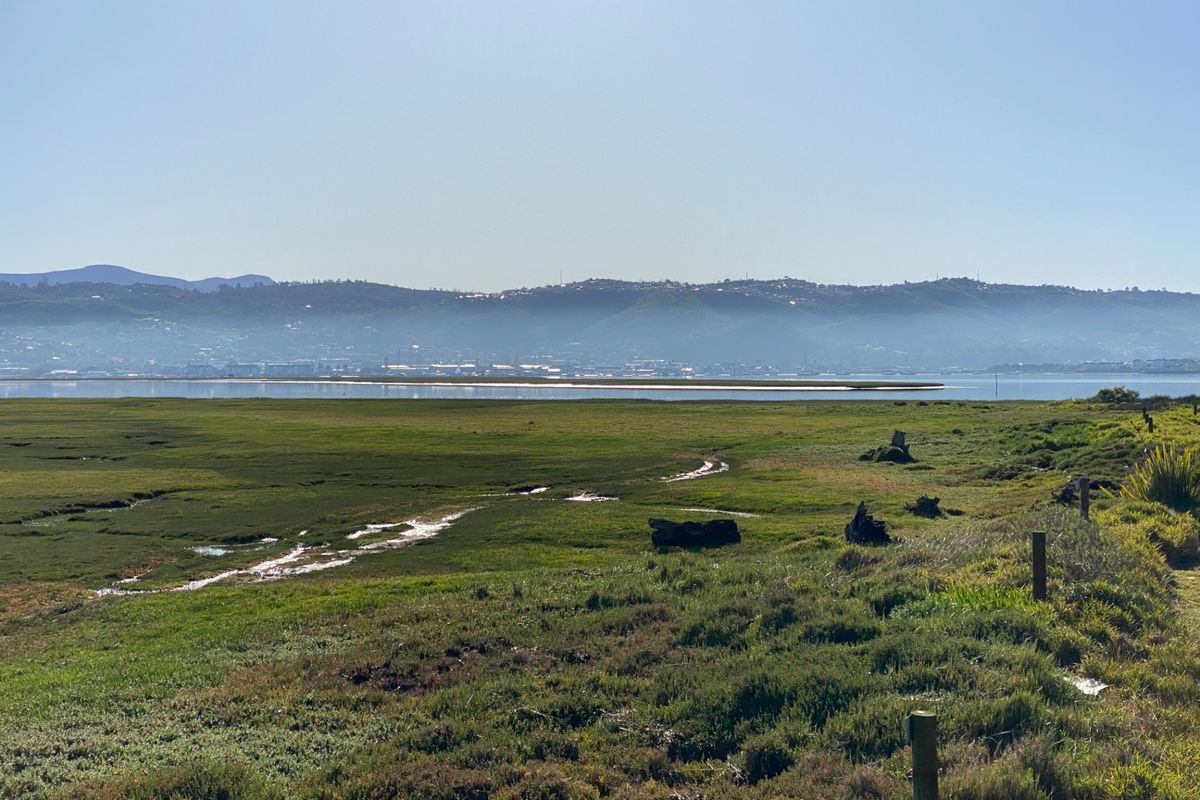 Vacant Land Residential For Sale in Brenton On Lake - Photo 4