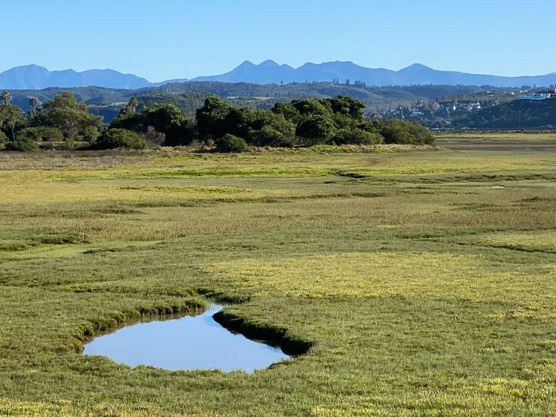 Vacant Land Residential For Sale in Brenton On Lake - Photo 6