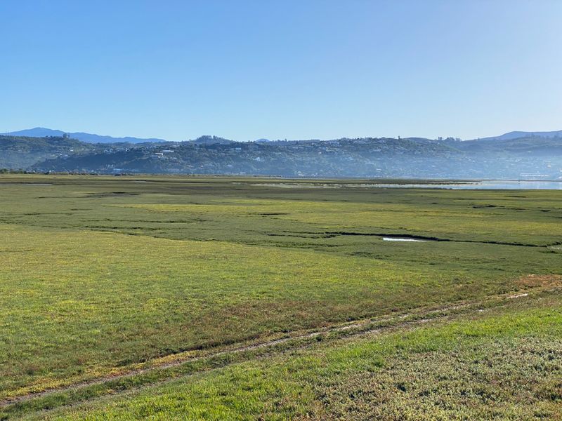 Vacant Land Residential For Sale in Brenton On Lake - Photo 5