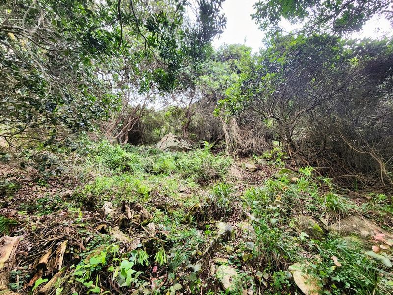 Vacant Land Residential For Sale in Wilderness Central - Photo 3