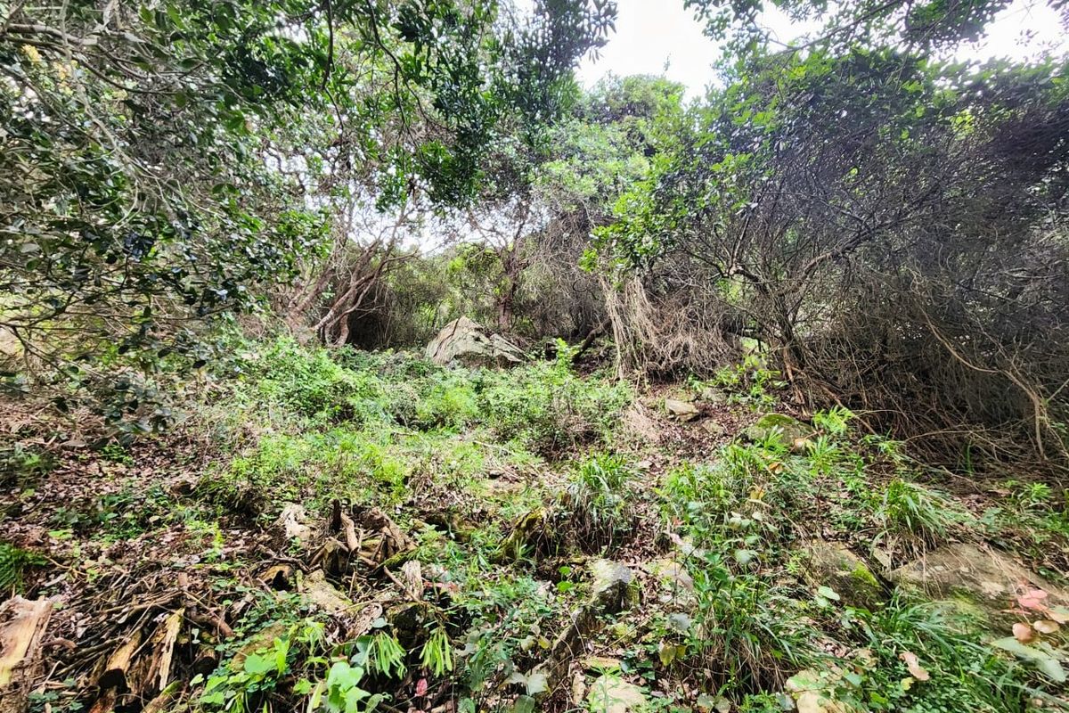 Vacant Land Residential For Sale in Wilderness Central - Photo 3