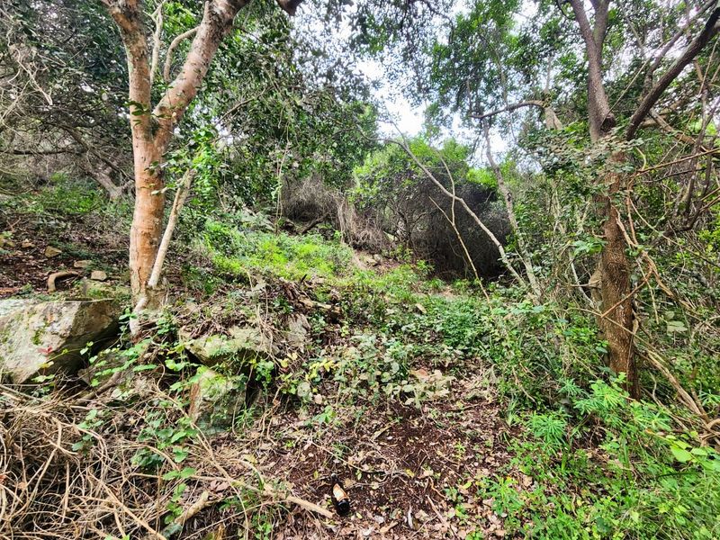 Vacant Land Residential For Sale in Wilderness Central - Photo 4