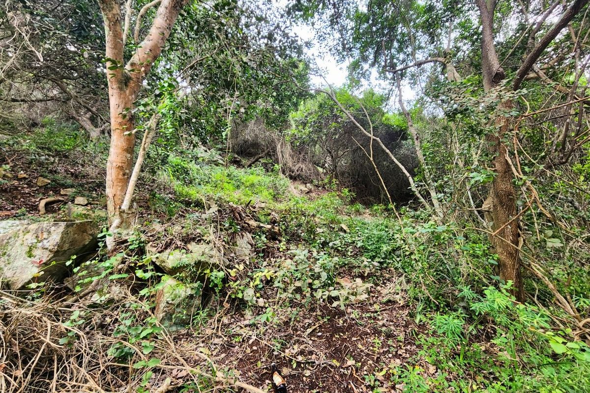 Vacant Land Residential For Sale in Wilderness Central - Photo 4