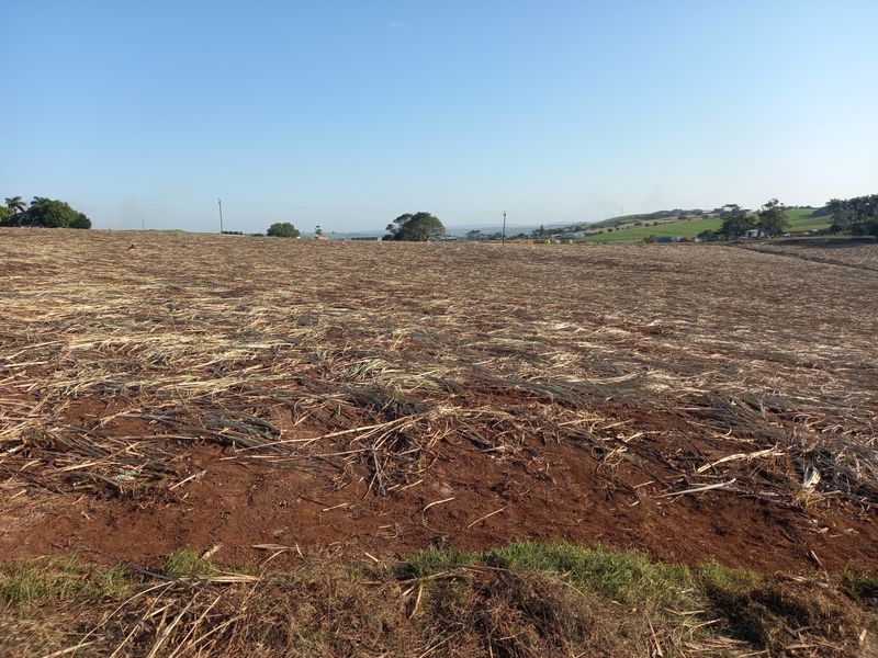 Vacant Land Residential For Sale in Compensation Beach - Photo 3