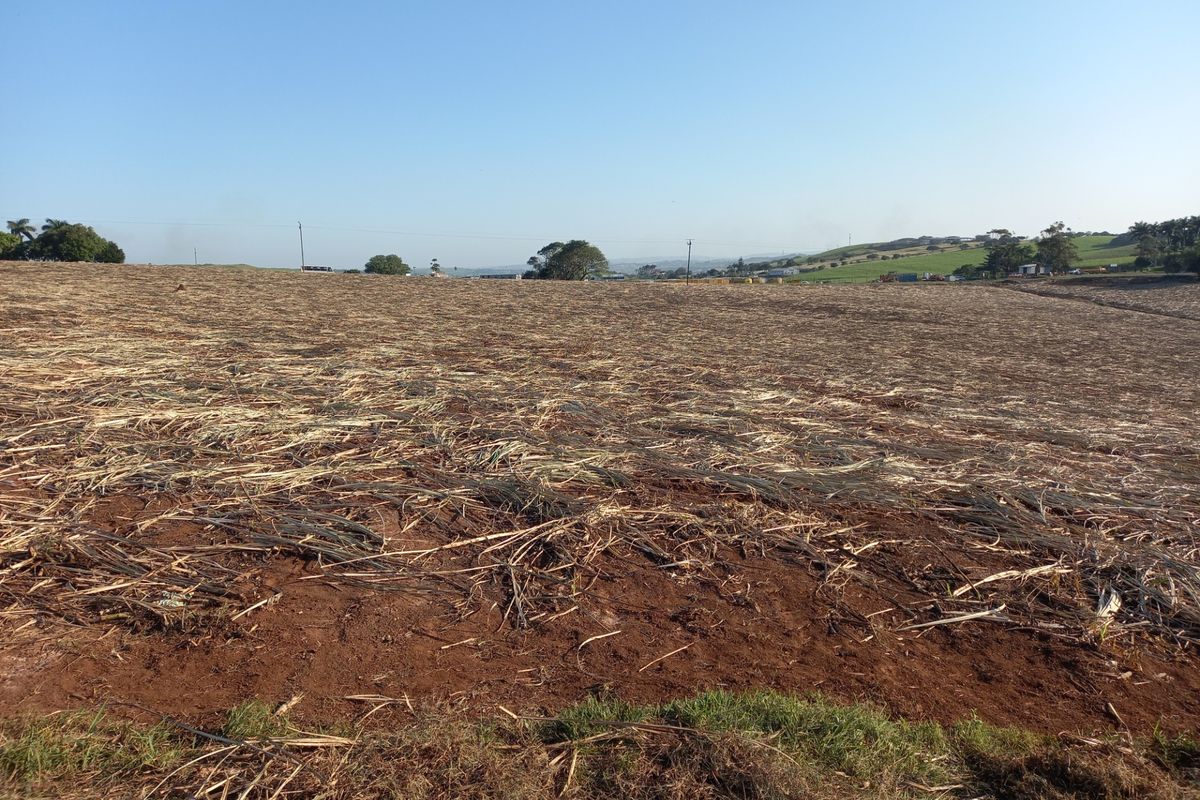 Vacant Land Residential For Sale in Compensation Beach - Photo 3