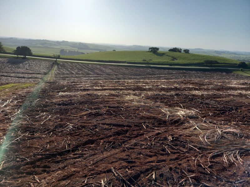 Vacant Land Residential For Sale in Compensation Beach - Photo 4