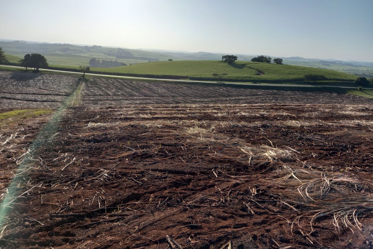 Vacant Land Residential For Sale in Compensation Beach - Photo 4