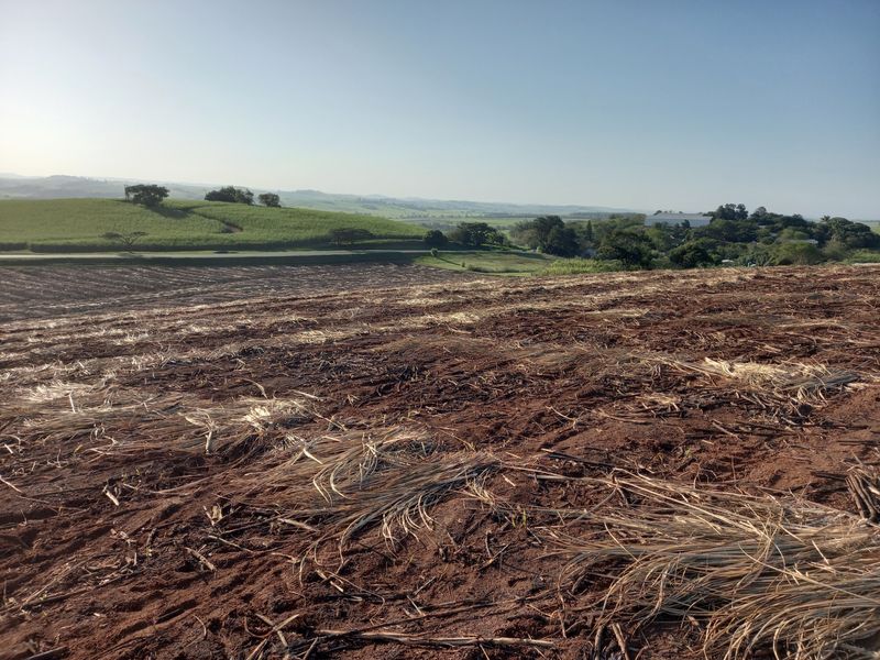 Vacant Land Residential For Sale in Compensation Beach - Photo 5