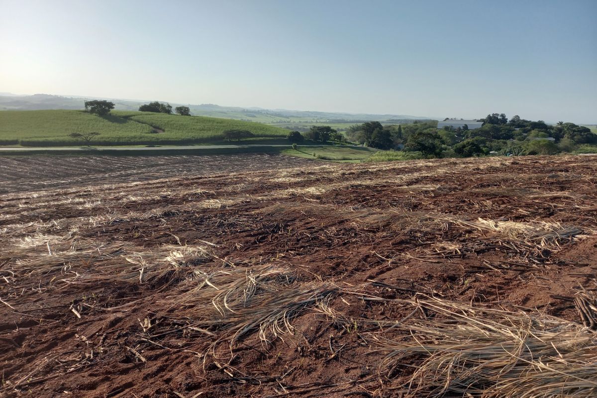 Vacant Land Residential For Sale in Compensation Beach - Photo 5