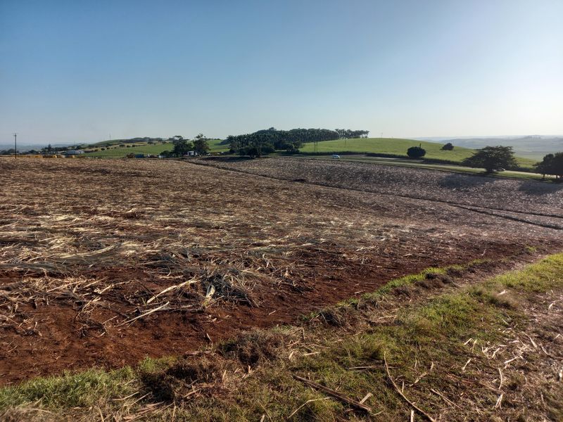 Vacant Land Residential For Sale in Compensation Beach - Photo 2