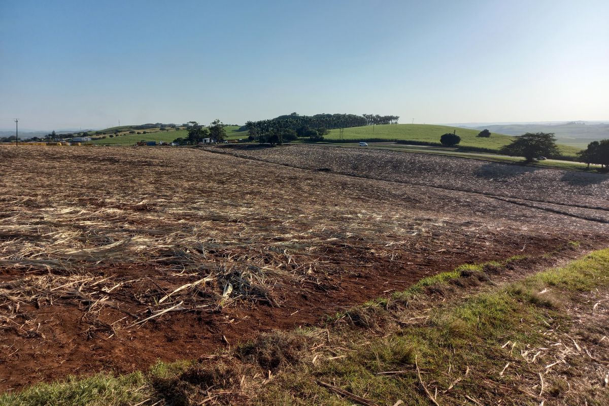 Vacant Land Residential For Sale in Compensation Beach - Photo 2