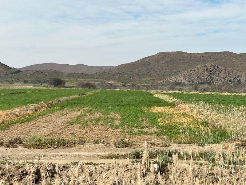 Farm For Sale in Ladismith Rural - Photo 5