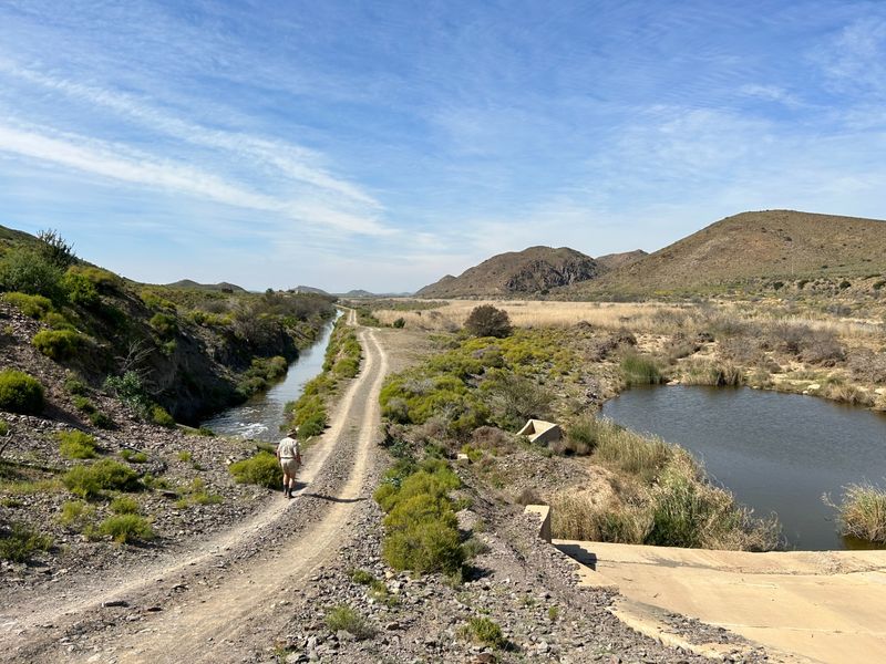 Farm For Sale in Ladismith Rural - Photo 8