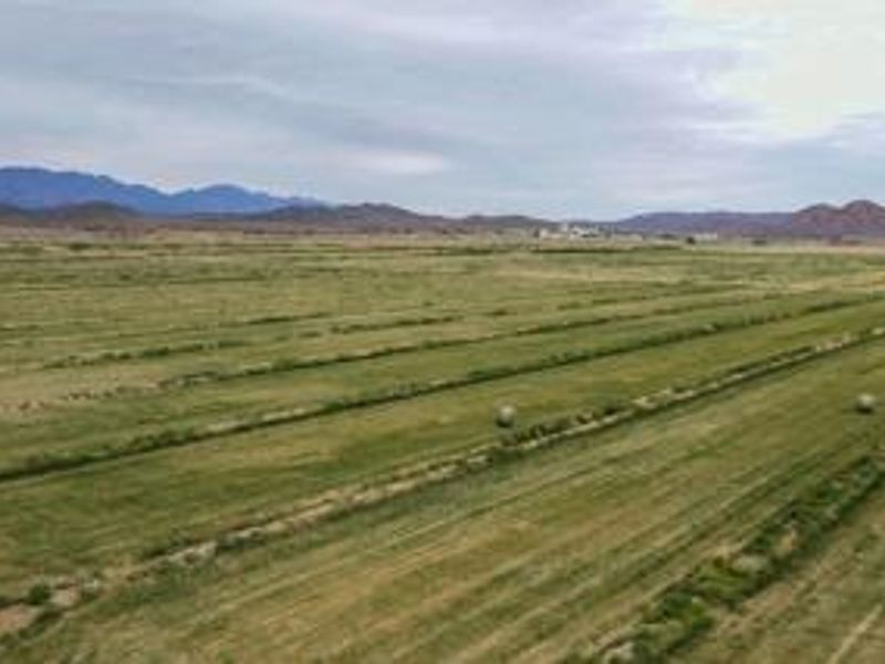 Farm For Sale in Ladismith Rural - Photo 4