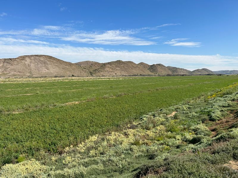 Farm For Sale in Ladismith Rural - Photo 10