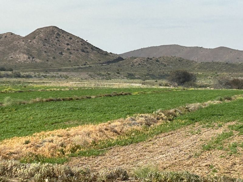 Farm For Sale in Ladismith Rural - Photo 6