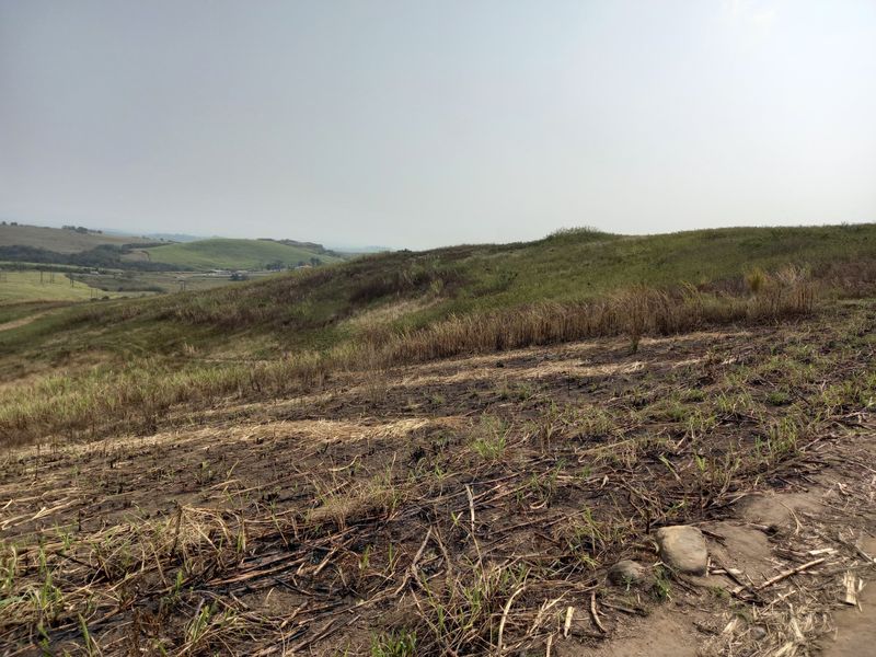 Farm For Sale in Fraser - Photo 8