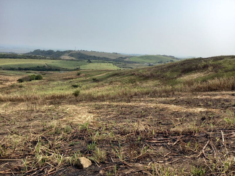 Farm For Sale in Fraser - Photo 9