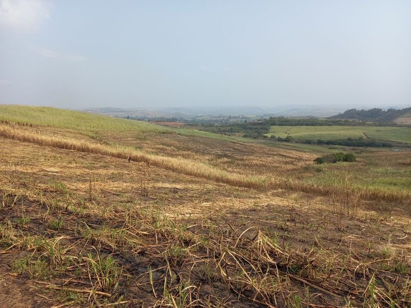 Farm For Sale in Fraser - Photo 7