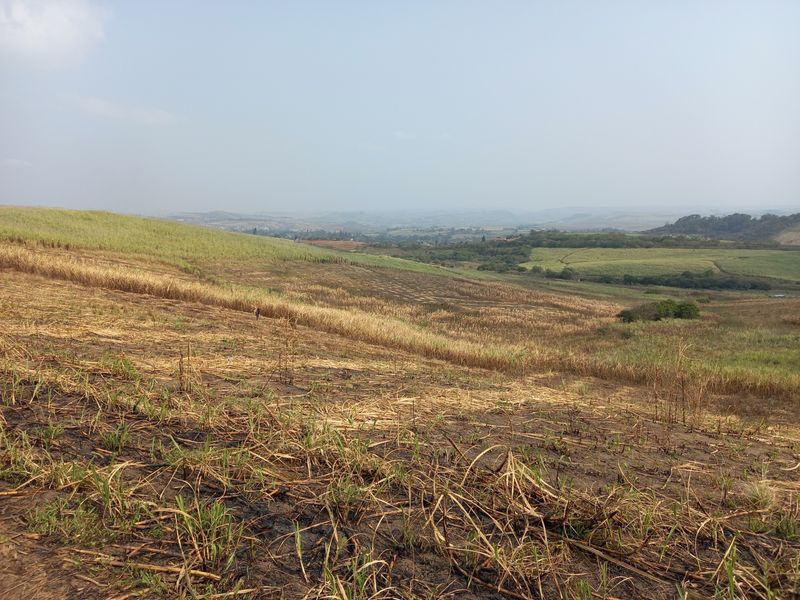 Farm For Sale in Fraser - Photo 6