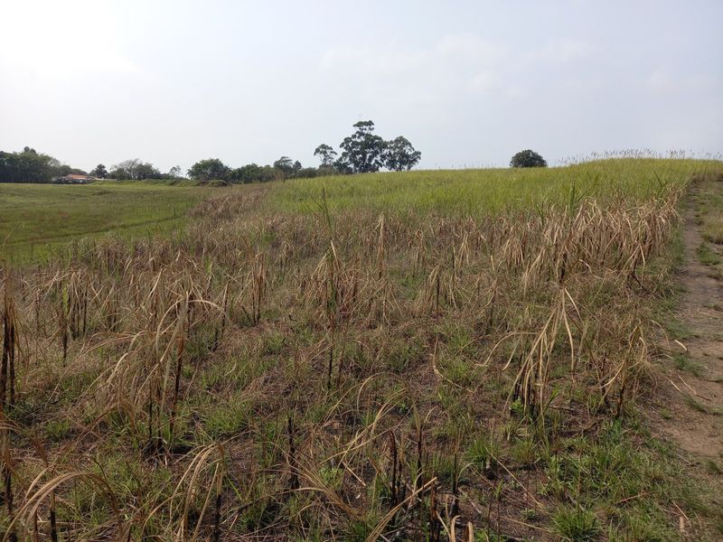 Farm For Sale in Fraser - Photo 10