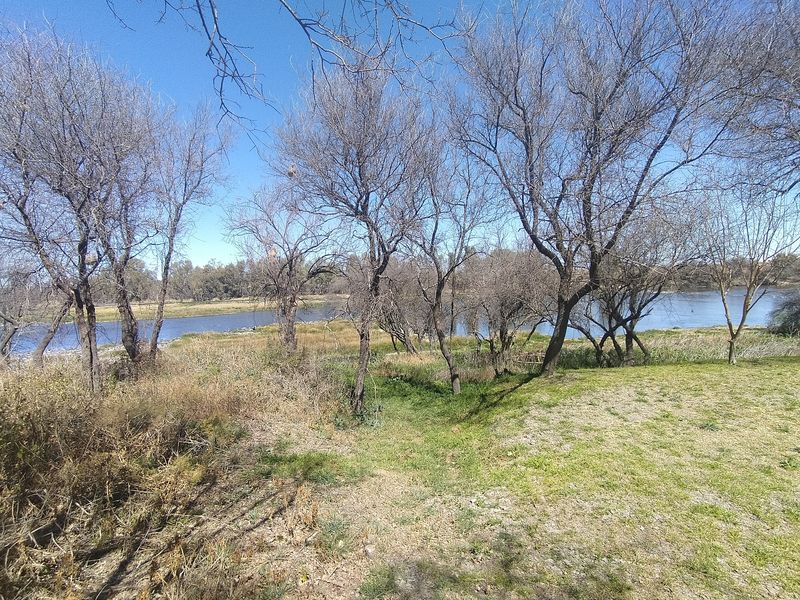 House For Sale in Potchefstroom Rural - Photo 6