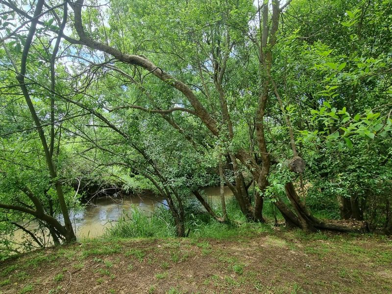 Farm For Sale in Burgersfort Central - Photo 3