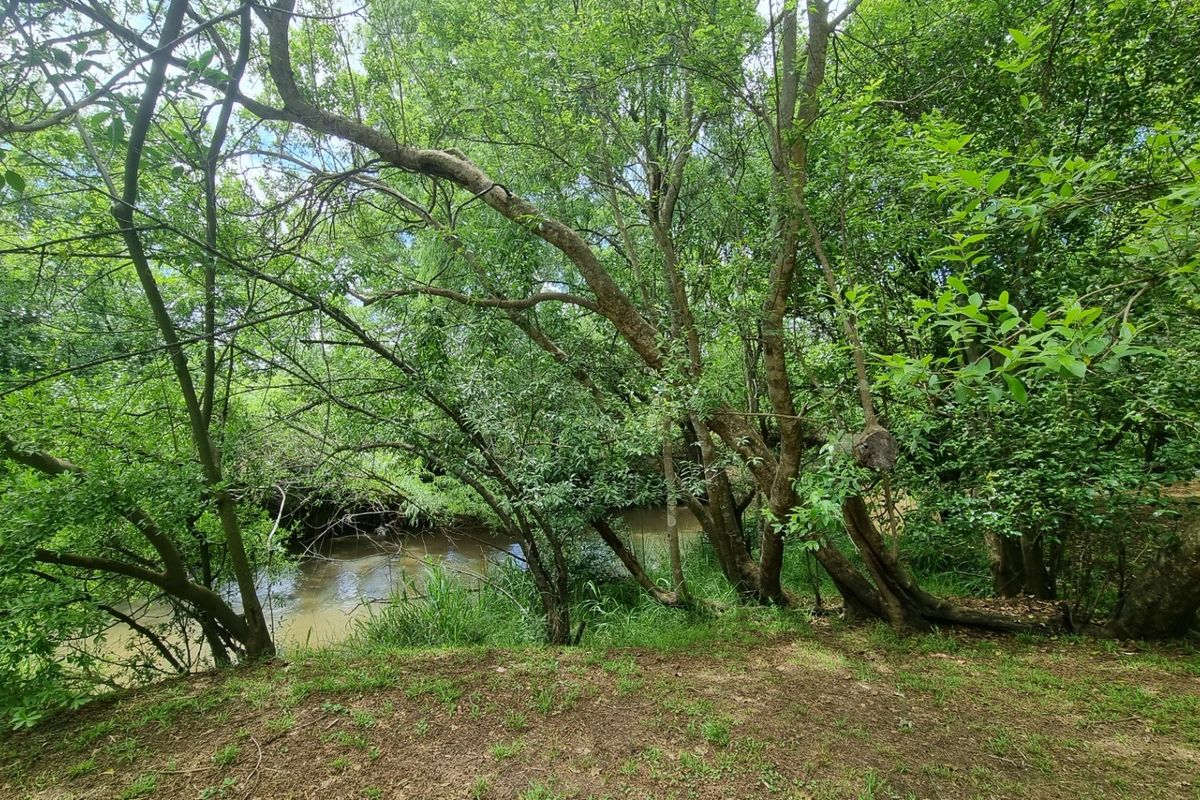 Farm For Sale in Burgersfort Central - Photo 3