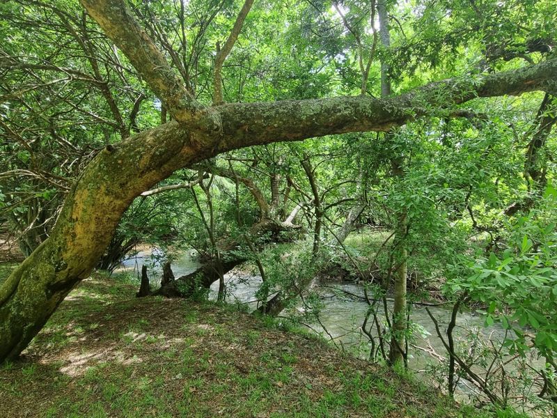 Farm For Sale in Burgersfort Central - Photo 2