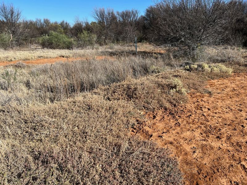 Vacant Land Residential For Sale in Orania - Photo 5