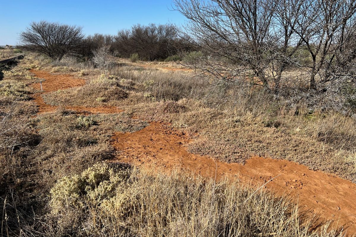 Vacant Land Residential For Sale in Orania - Photo 3