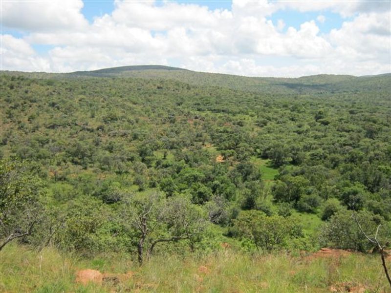 Vacant Land Residential For Sale in Modimolle Central - Photo 4