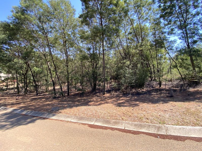 Vacant Land Residential For Sale in Rietfontein Sh - Photo 10