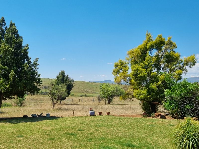 Farm For Sale in Lydenburg Rural - Photo 6