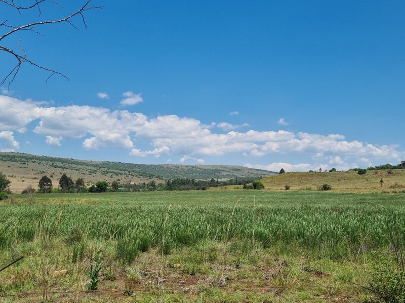 Farm For Sale in Lydenburg Rural - Photo 5