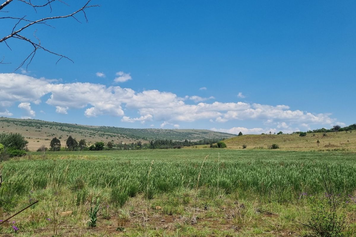 Farm For Sale in Lydenburg Rural - Photo 5