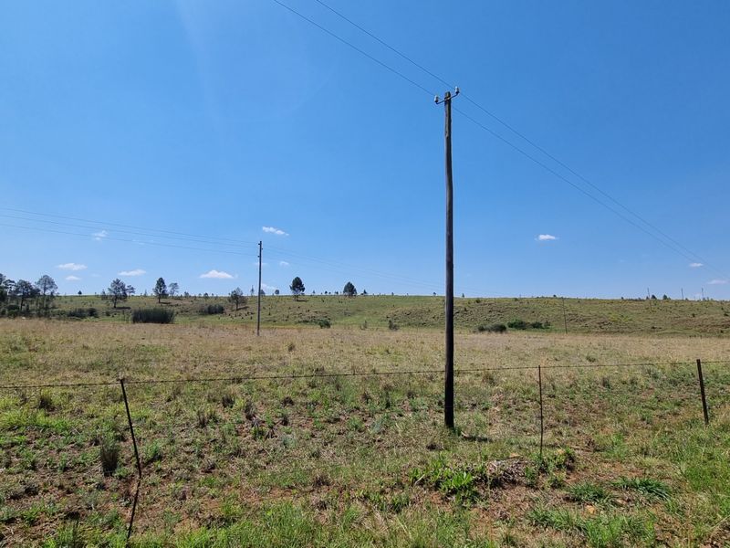 Farm For Sale in Lydenburg Rural - Photo 10