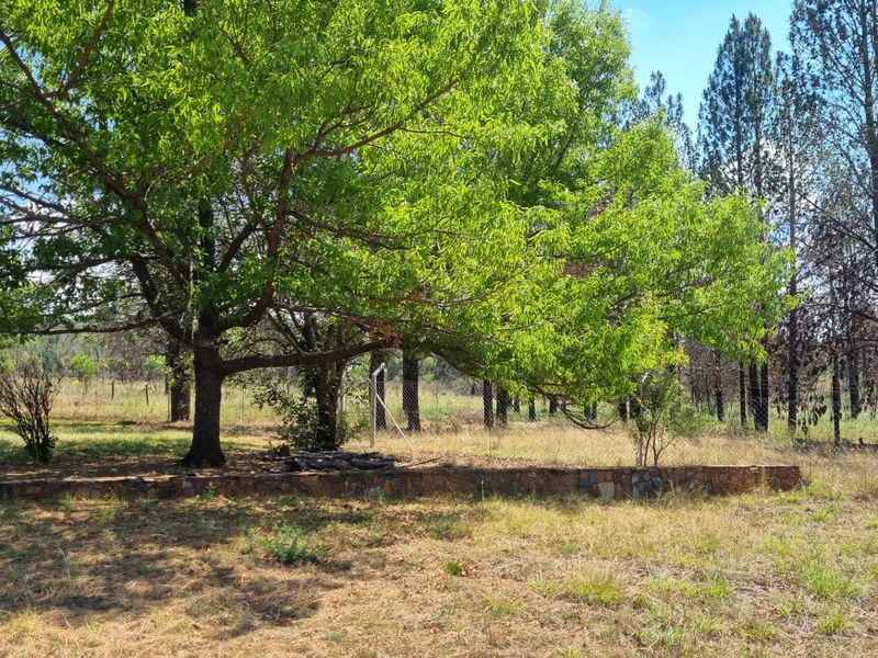Farm For Sale in Lydenburg Rural - Photo 9