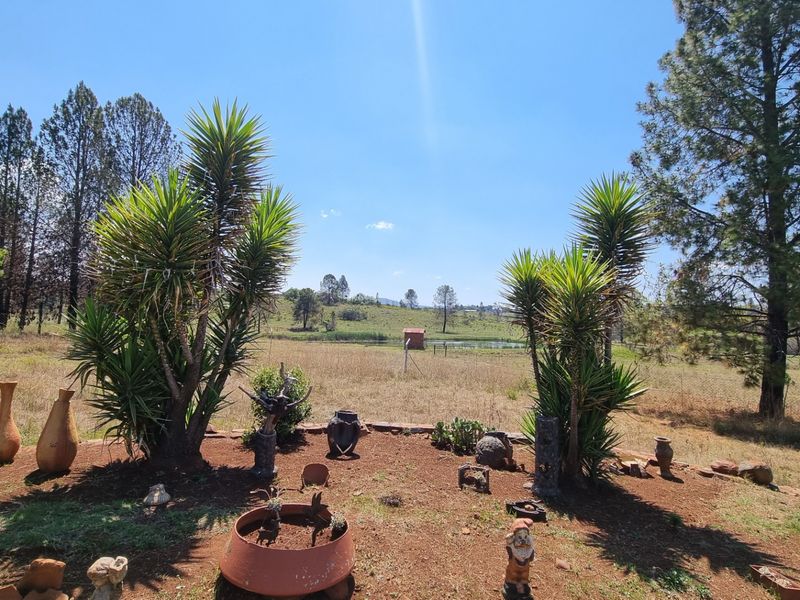 Farm For Sale in Lydenburg Rural - Photo 7
