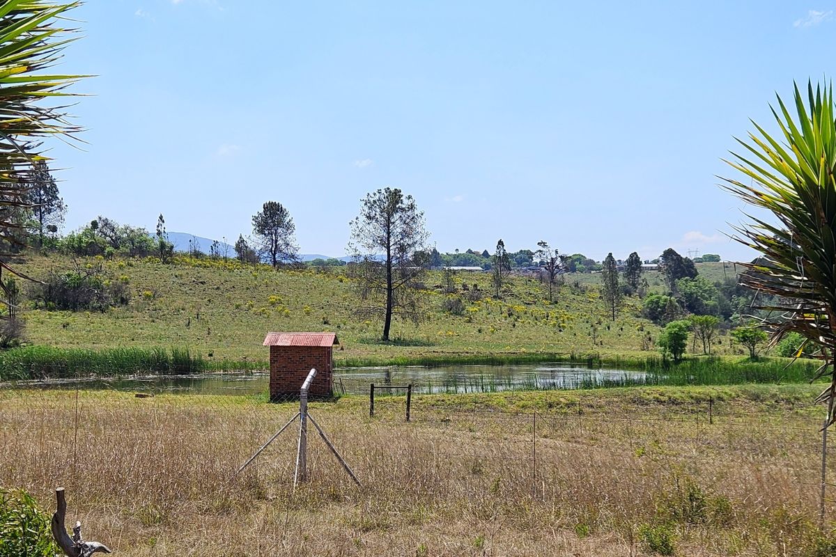 Farm For Sale in Lydenburg Rural - Photo 2