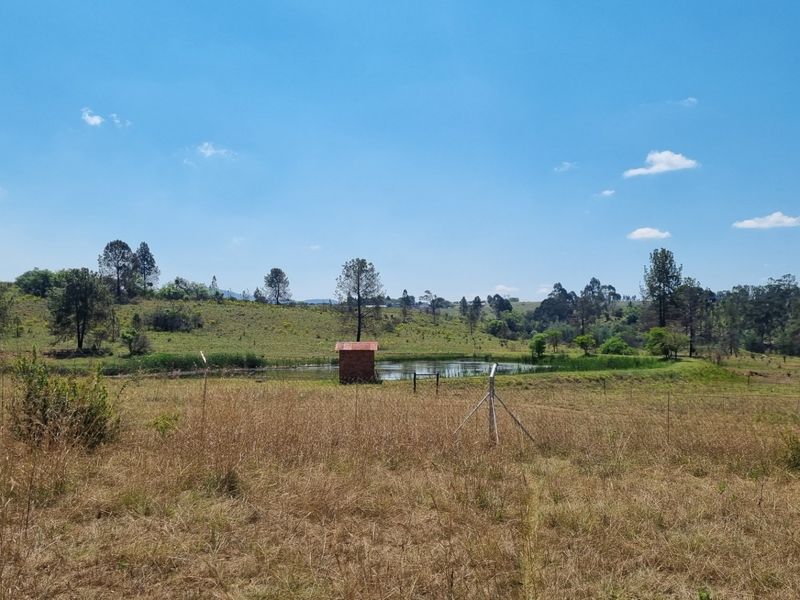 Farm For Sale in Lydenburg Rural - Photo 8