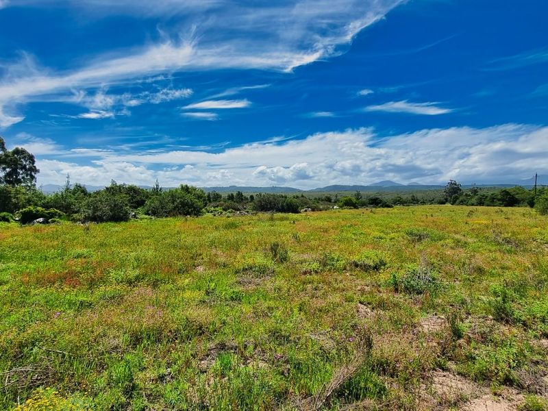 Farm For Sale in Sedgefield Rural - Photo 3