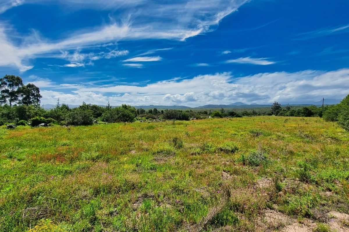 Farm For Sale in Sedgefield Rural - Photo 3