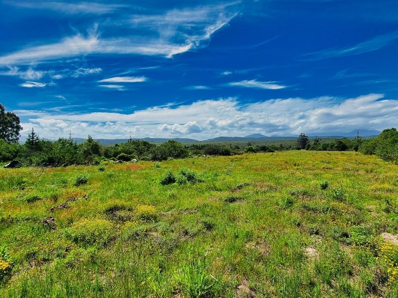 Farm For Sale in Sedgefield Rural - Photo 2
