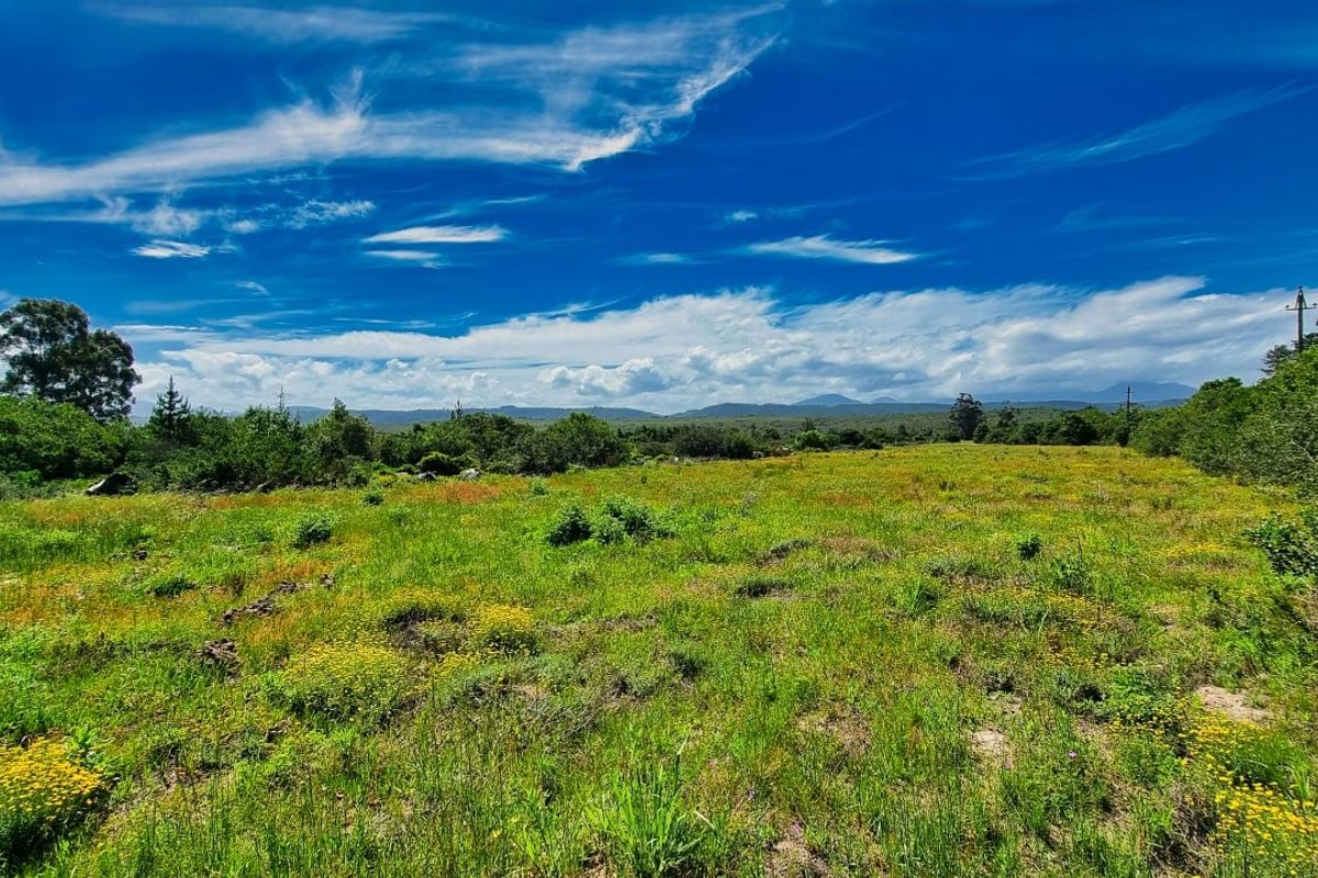 Farm For Sale in Sedgefield Rural - Photo 2
