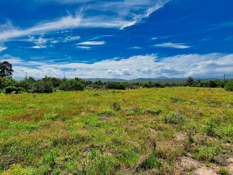 Farm For Sale in Sedgefield Rural - Photo 4