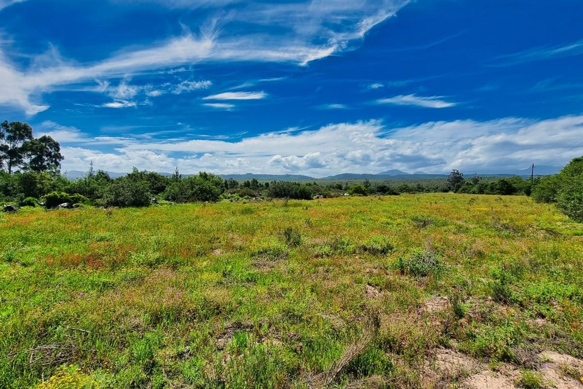 Farm For Sale in Sedgefield Rural - Photo 4